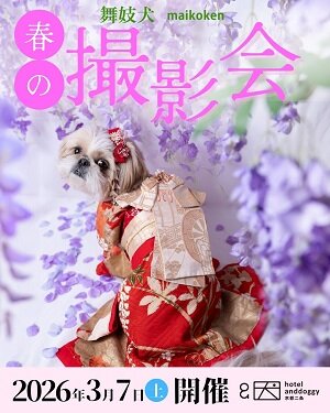 舞妓犬春IG.jpg