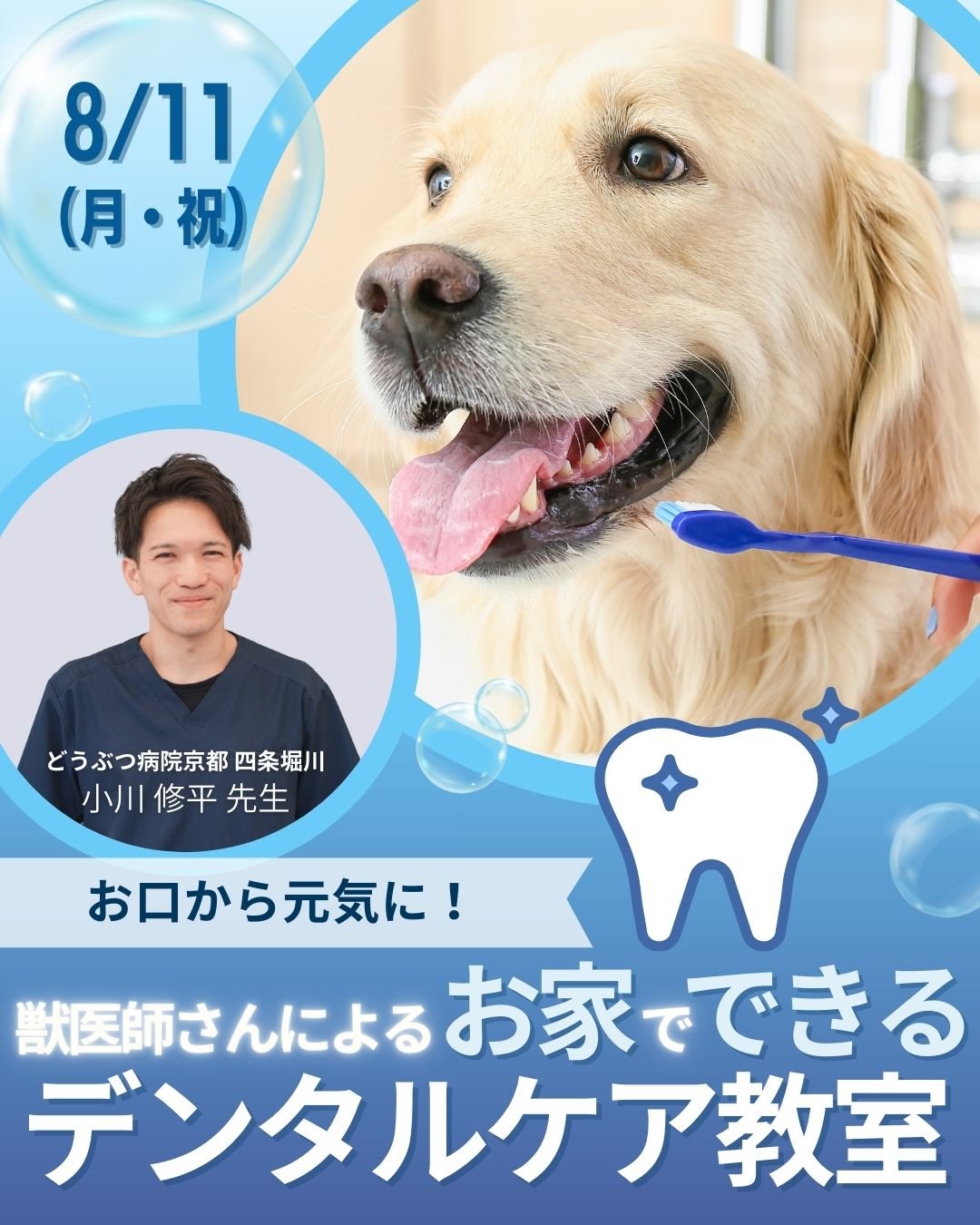 最終デンタルケア教室2.jpg
